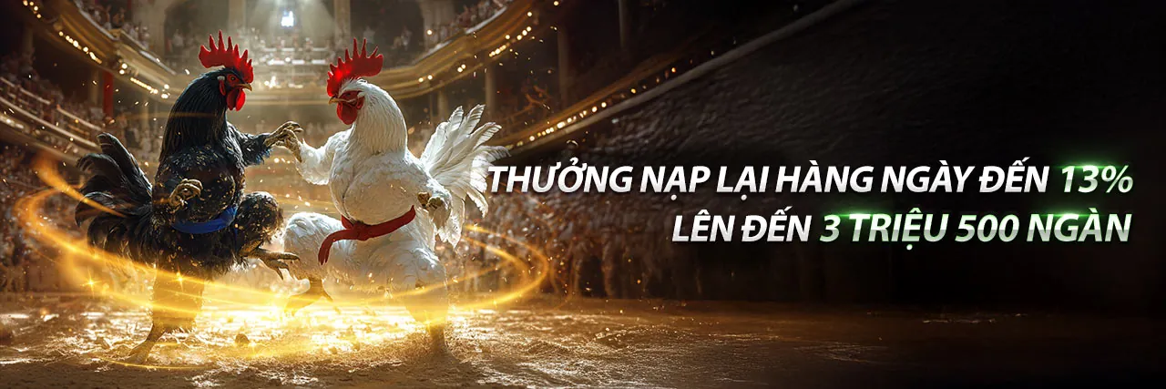 Đá Gà Trực Tuyến Hấp Dẫn tại 888b